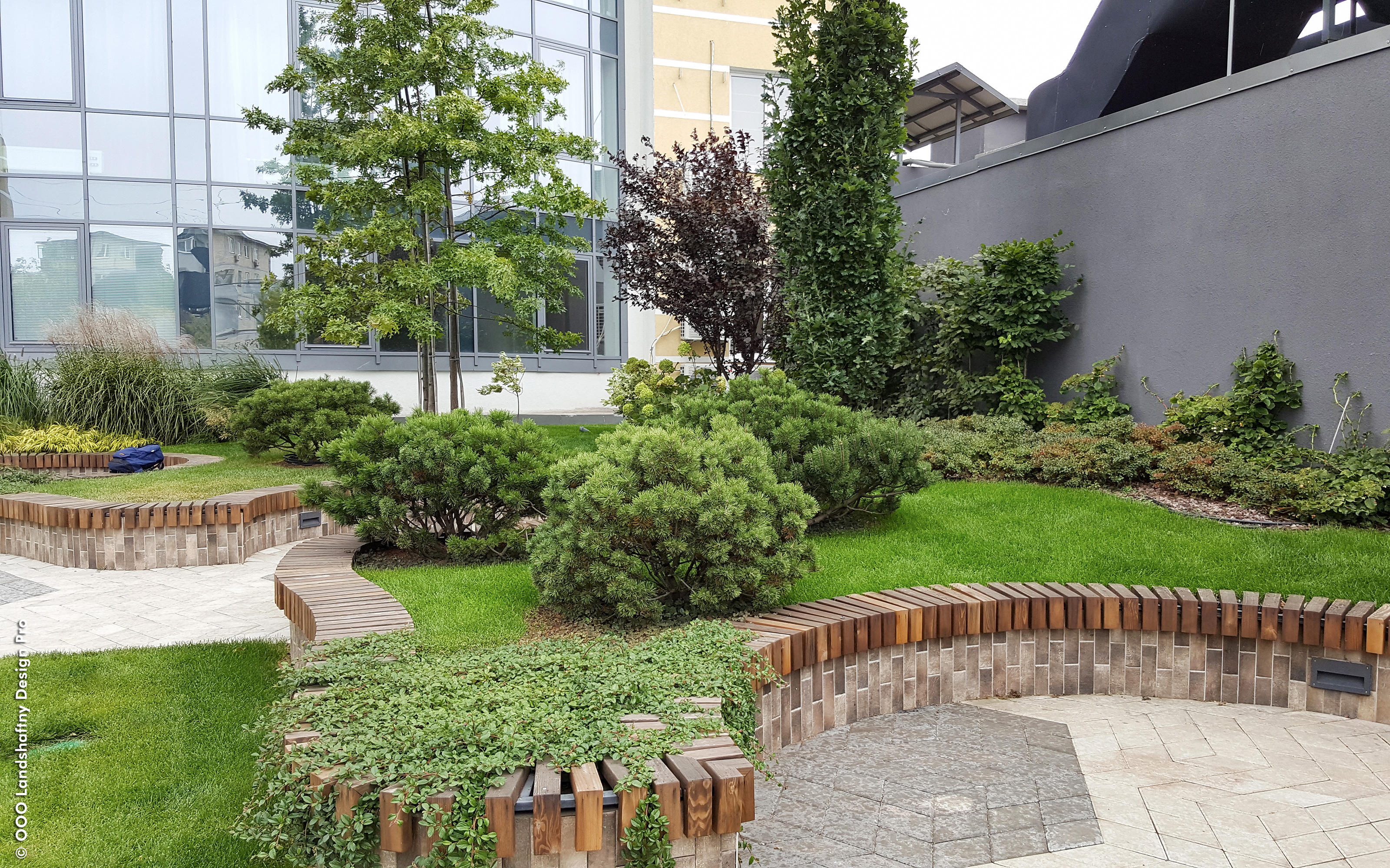 Circular wooden benches create different viewpoints. Roof garden with lawn, small trees and circular wooden benches